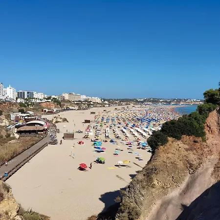 Rocha Santa Maria Zion * Портіман